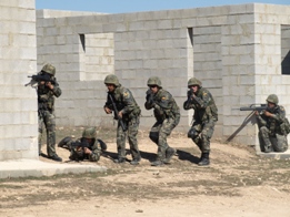 EL RIL PALMA 47 EN CHINCHILLA