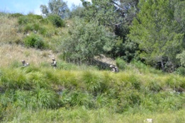 UN DÍA CON EL RIL PALMA 47