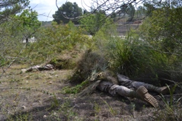 UN DÍA CON EL RIL PALMA 47