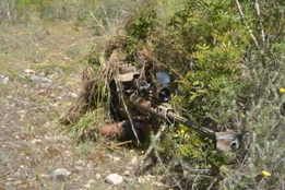 UN DÍA CON EL RIL PALMA 47