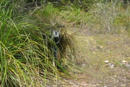 UN DÍA CON EL RIL PALMA 47