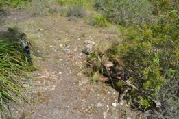 UN DÍA CON EL RIL PALMA 47