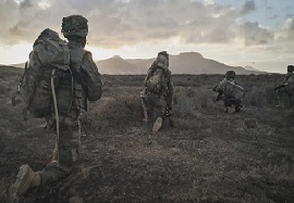 Actividades principales