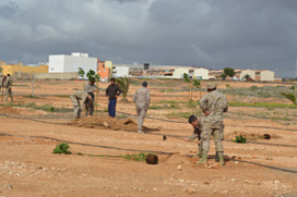 El Personal del RIL asesorado por jardineros