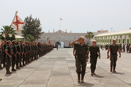 El Cor. Del Olmo pasando revista