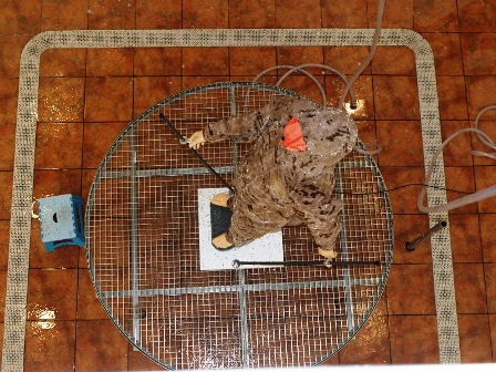 UEPL ENSAYOS TORRE DE LLUVIA REVISADA