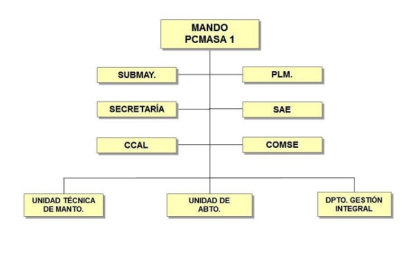 ORGANIGRAMA PCMASA1