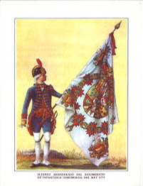 Abanderado Rgto. Inmemorial