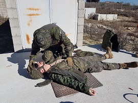 (Foto: Batallón 'Guardia Vieja de Castilla')