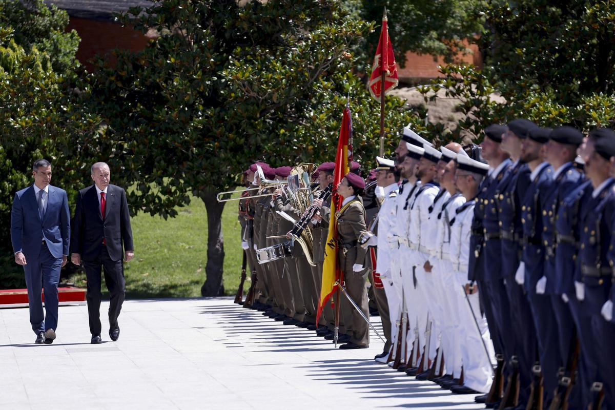 texto alternativo para ie 