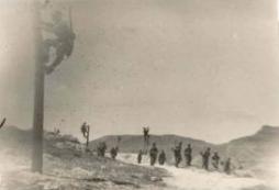 RING8-Acontecimientos01b