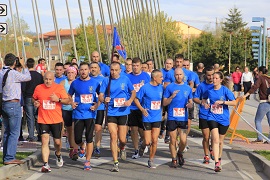 Componentes de la BRILAT participantes.