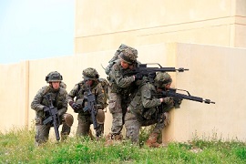 Batallon de Zapadores VJTF BDE