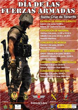Cartel Día de las Fuerzas Armadas 2016 en Santa Cruz de Tenerife