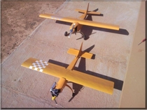 SIMULA OBJETIVO PARA EJERCICIOS CON MISIL MISTRAL