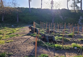Pista de combate pasando por la alambrada