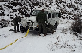 Recuperación de vehículos