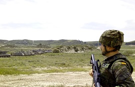 Integración en Agrupamientos Tácticos