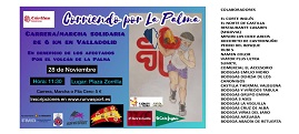 Cartel carrera_marcha solidaria