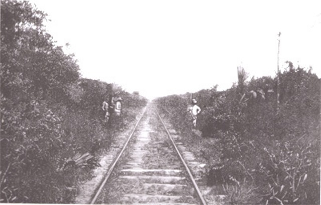 Regimiento Garellano