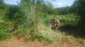Personal realizando labores de mantenimiento.