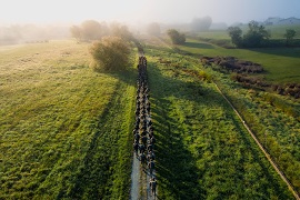 El batallón en columna de marcha