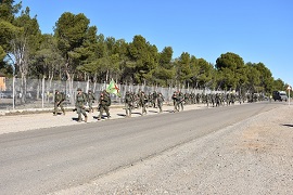 Los grupos de la AALOG 41 desarrollan el Ejercicio de Cohesión de Unidad