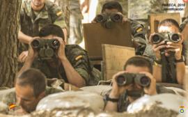 Prueba de identificación de medios