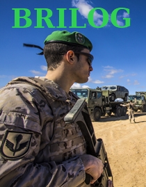 Historial de la BRILOG