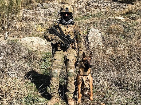 Galería de imágenes del Ejército de Tierra