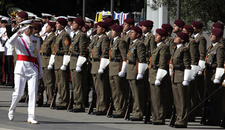 Día de las Fuerzas Armadas 2014