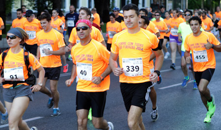 Día de las Fuerzas Armadas 2014