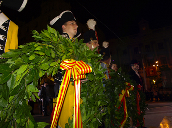 Día de las Fuerzas Armadas 2008