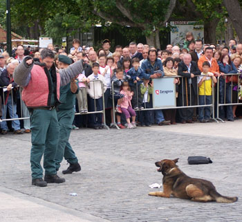 Día de las Fuerzas Armadas 2008