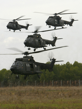 Ejercicio FAMET-BRIPAC-MAAA.Almagro.Noviembre 2008