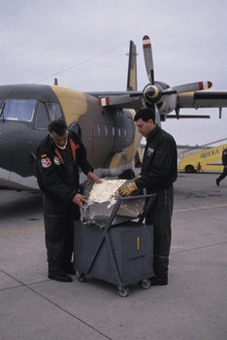 Conmemoración del final de la misión en Bosnia i Herzegovina