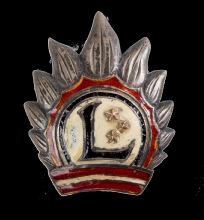 Distintivo del soldado del Ejército de Letonia