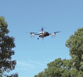 El imperio de la inteligencia