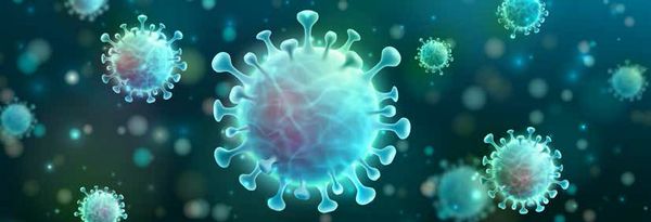 En primera línea En primera línea