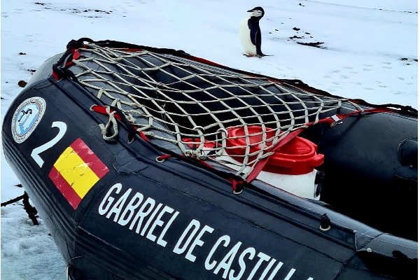 Barbijo con Zodiac CAET