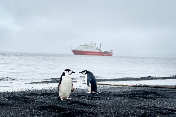 Barbijo fondo BO Sarmiento de Gamboa