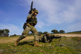 El subgrupo táctico en ejercicio Alfa