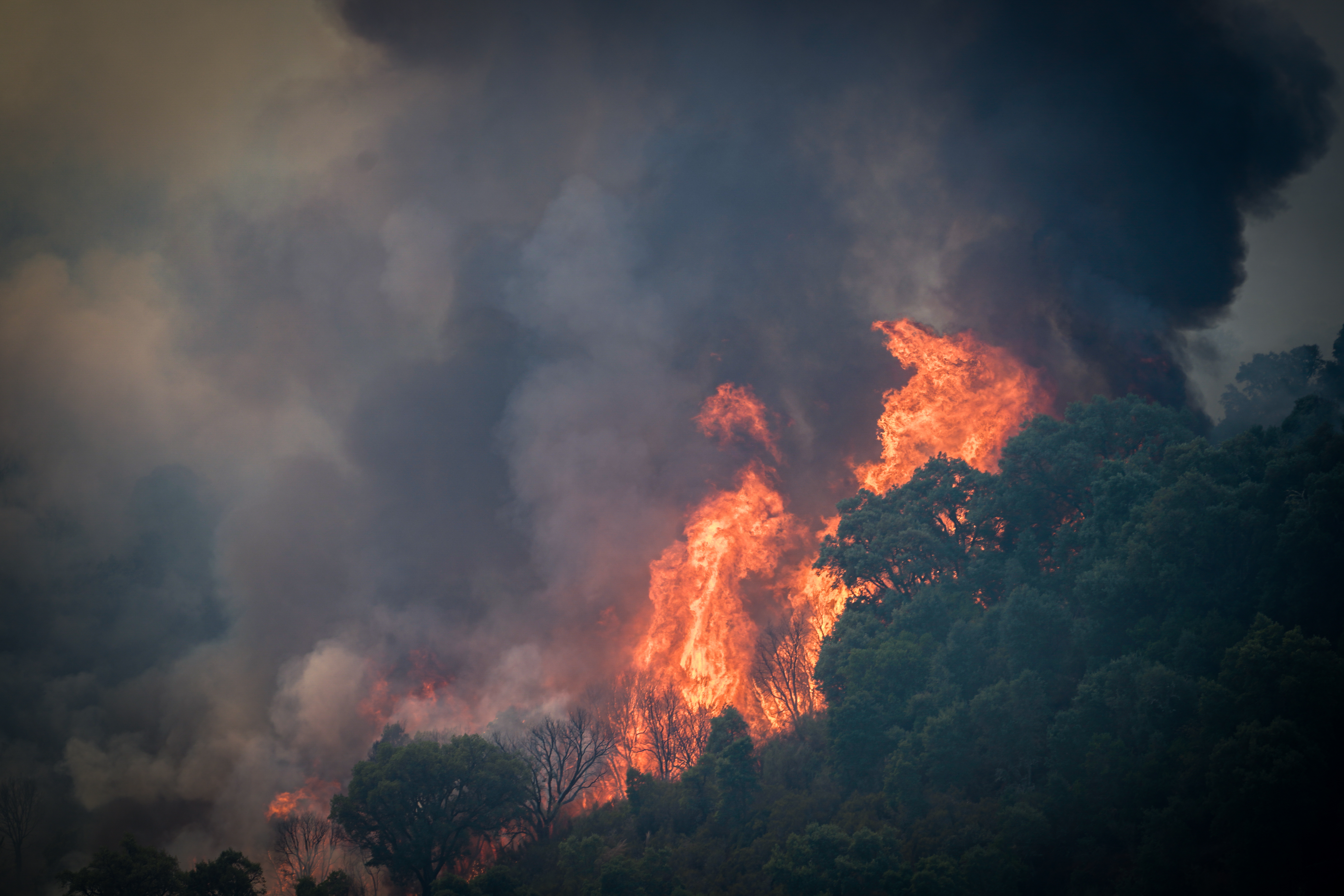 Lucha contra incendios 2025