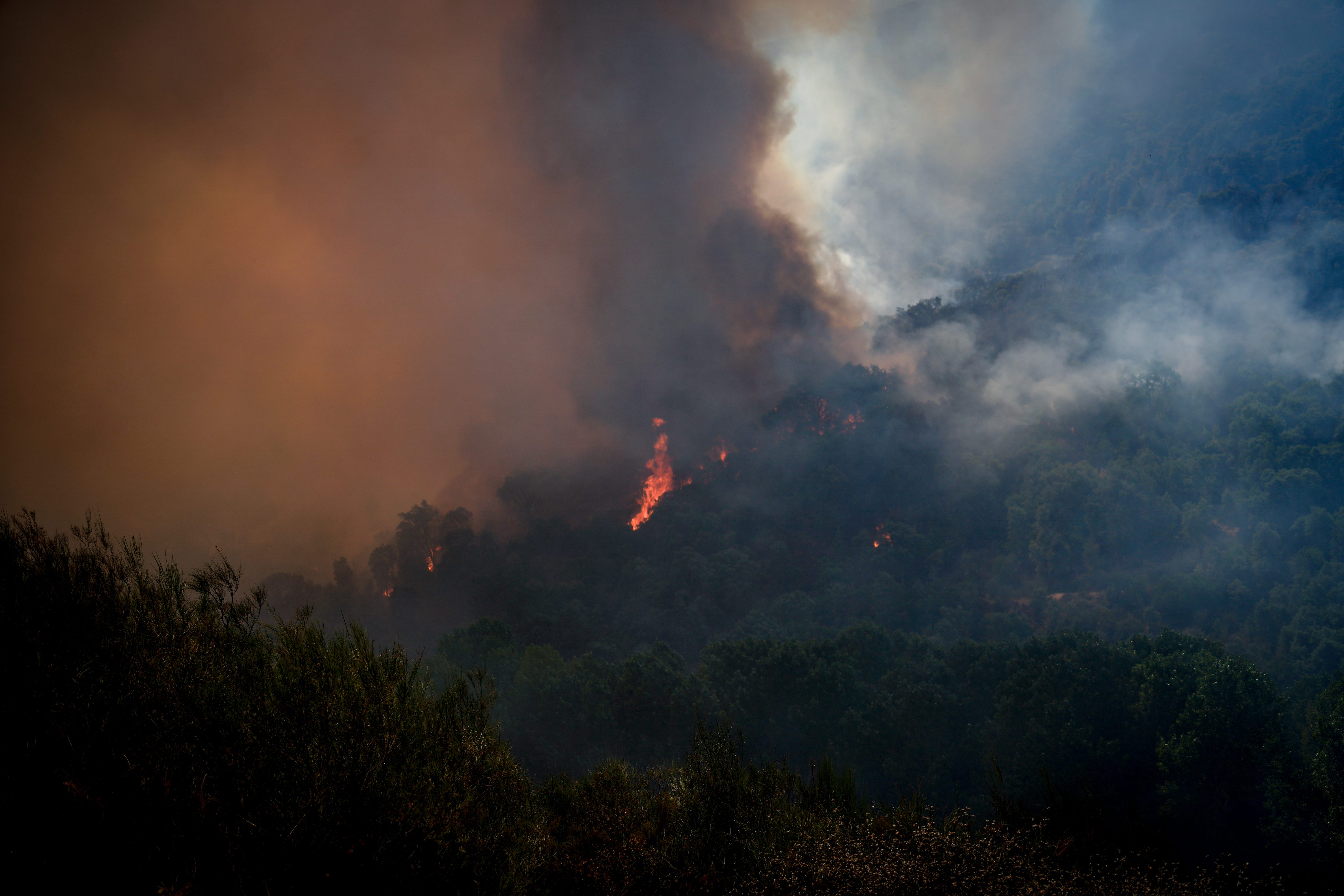 Lucha contra incendios 2025