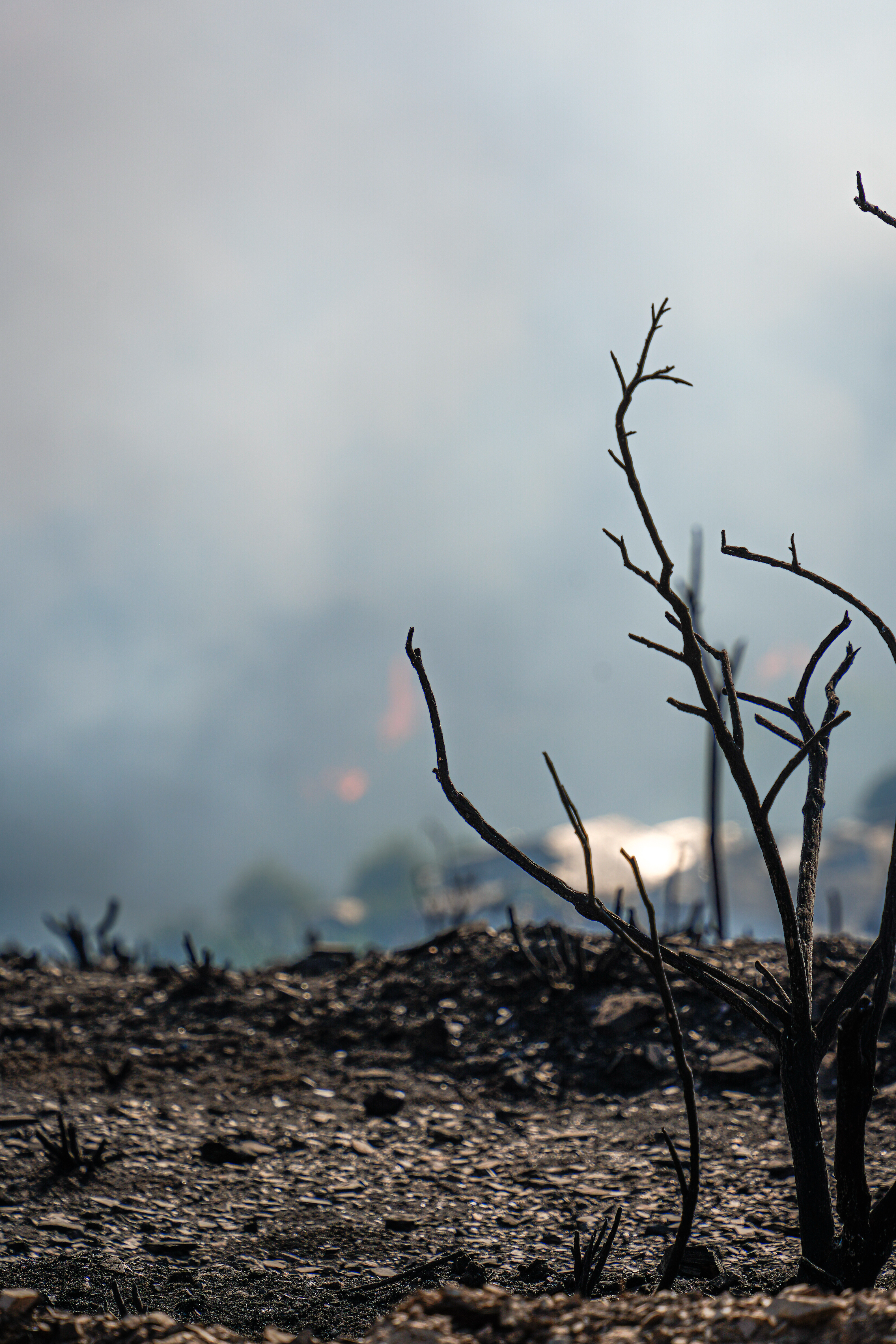 Lucha contra incendios 2025