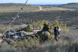 EL RIL PALMA 47 EN CHINCHILLA