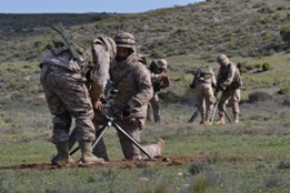 EL RIL PALMA 47 EN CHINCHILLA