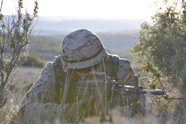 EL RIL PALMA 47 EN CHINCHILLA