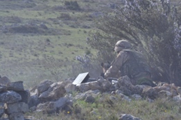 EL RIL PALMA 47 EN CHINCHILLA