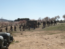 EL RIL PALMA 47 EN CHINCHILLA